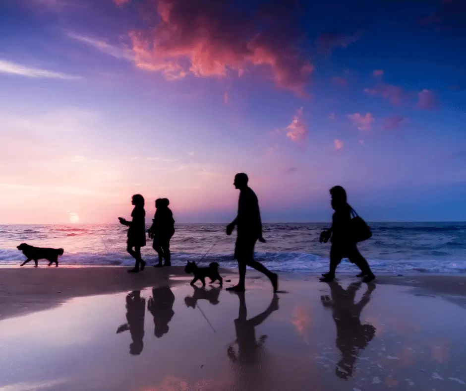 a family walk on the beach