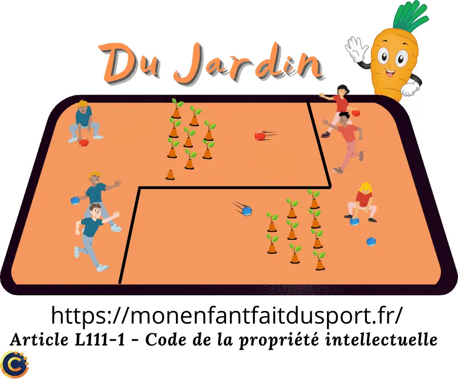 Les carottes du jardin - Jeu de ballon pour enfant - Ludique - règle du jeu